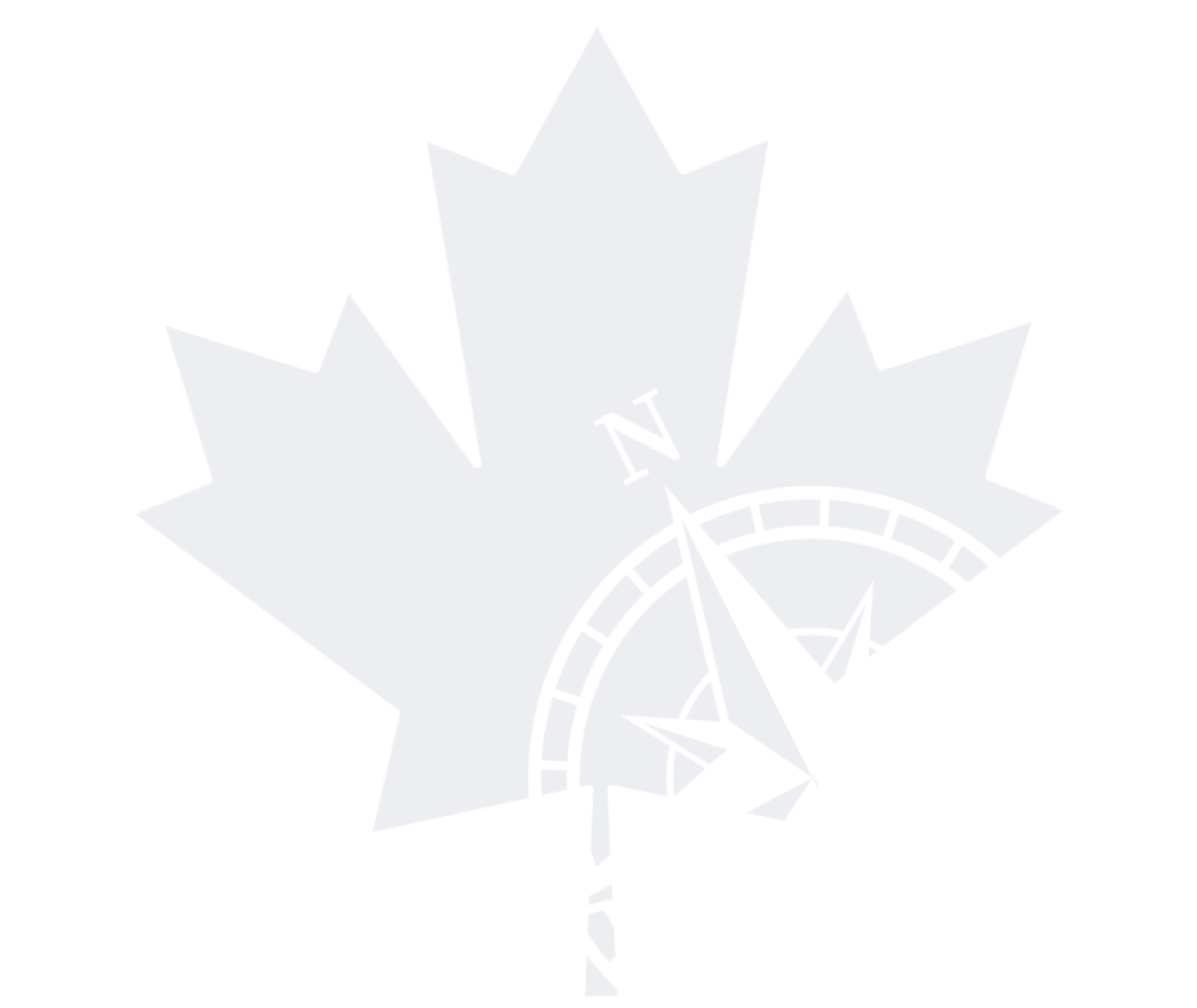 True North Logo Background